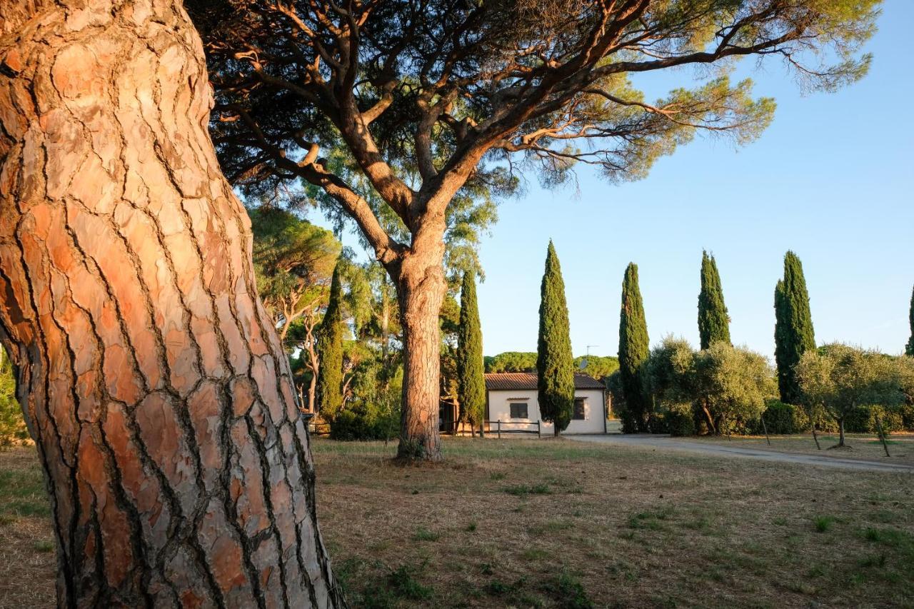Residence La Canova II Grosseto Exterior photo