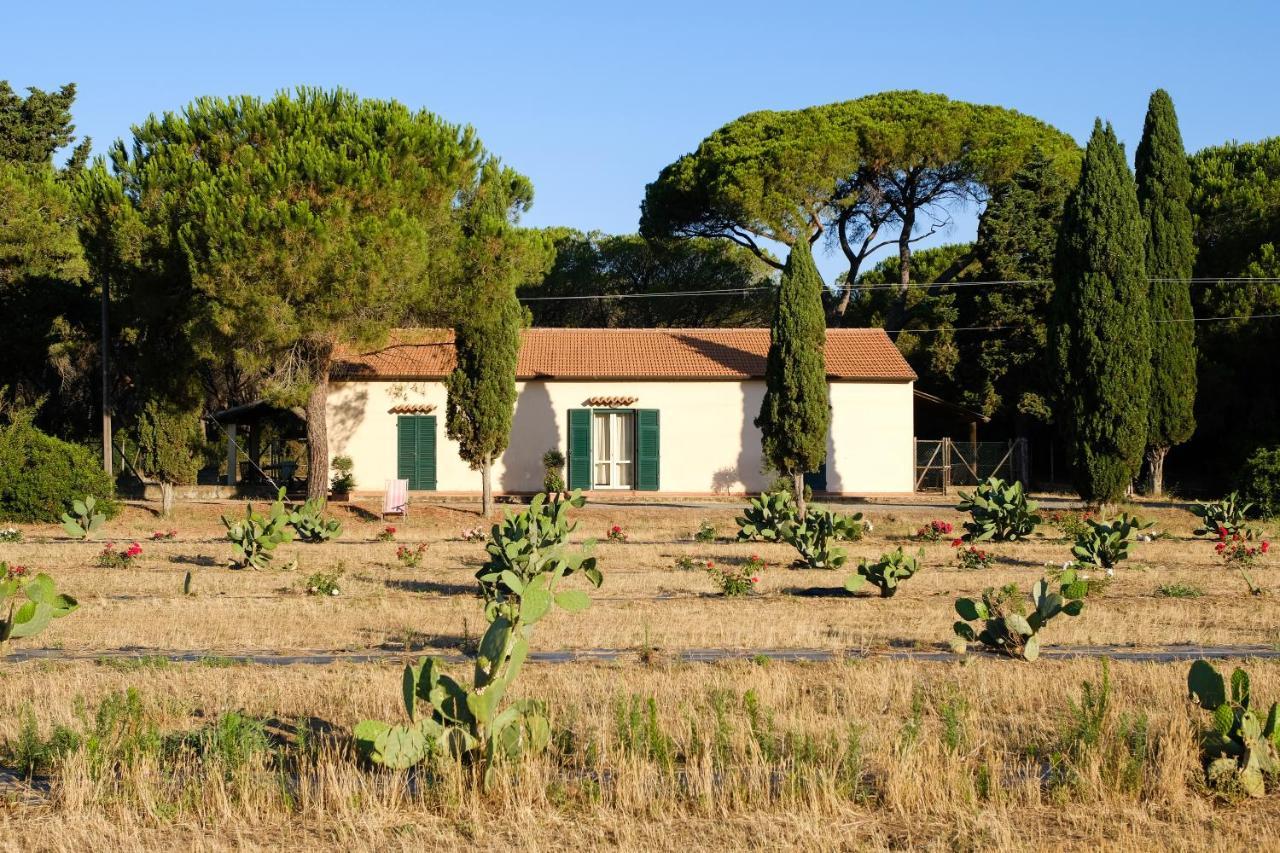 Residence La Canova II Grosseto Exterior photo