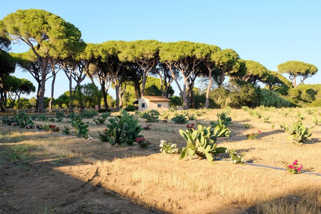 Residence La Canova II Grosseto Exterior photo