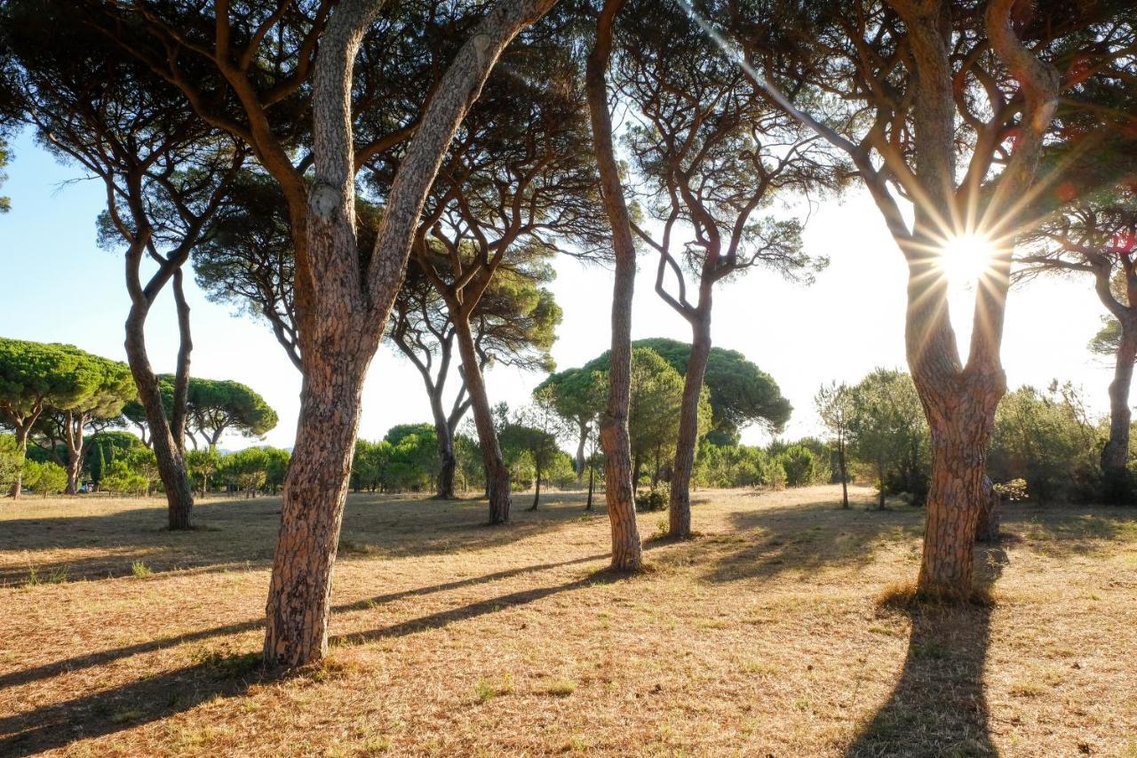 Residence La Canova II Grosseto Exterior photo