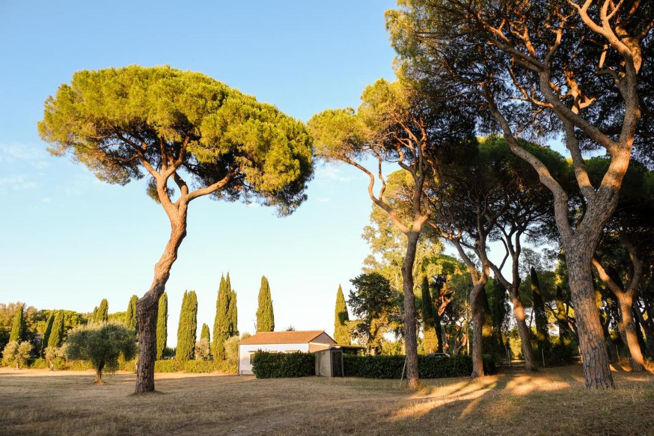 Residence La Canova II Grosseto Exterior photo