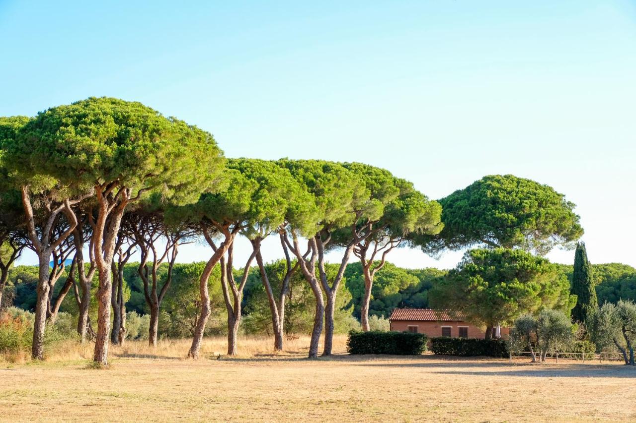 Residence La Canova II Grosseto Exterior photo