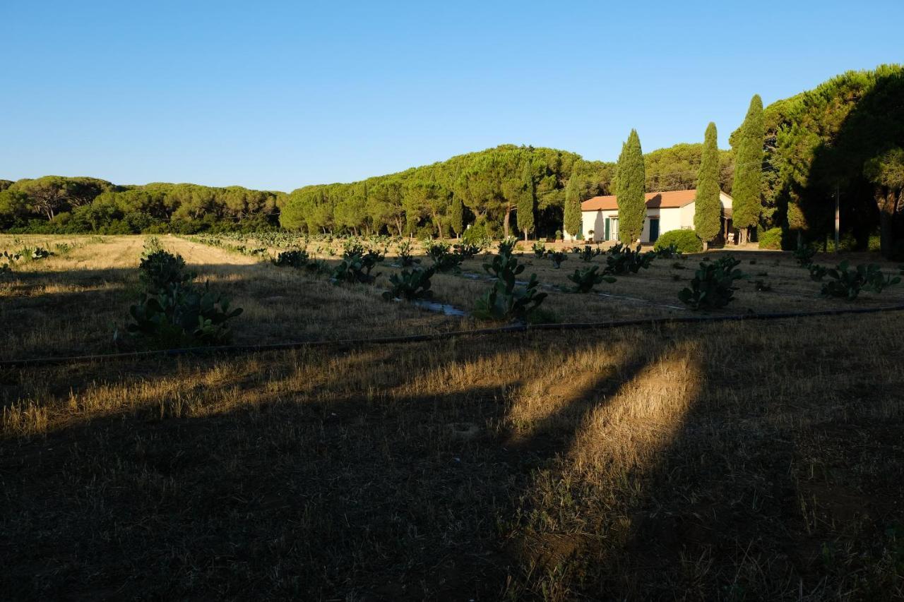 Residence La Canova II Grosseto Exterior photo