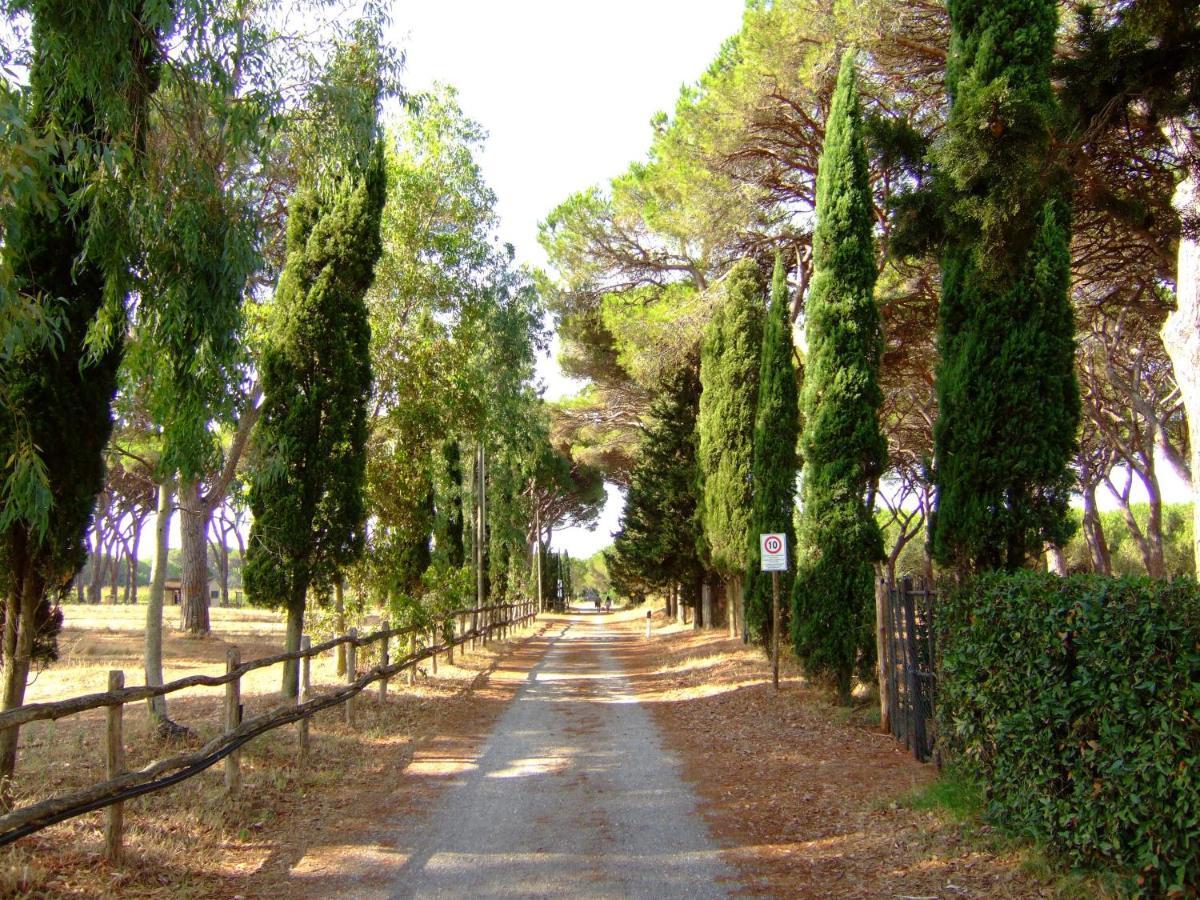 Residence La Canova II Grosseto Exterior photo