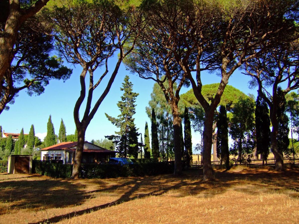 Residence La Canova II Grosseto Exterior photo